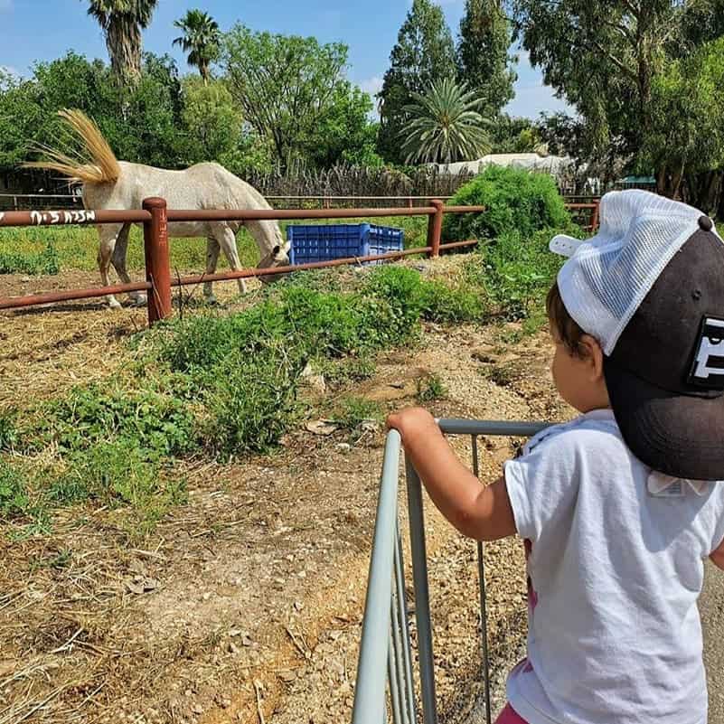 עגלול