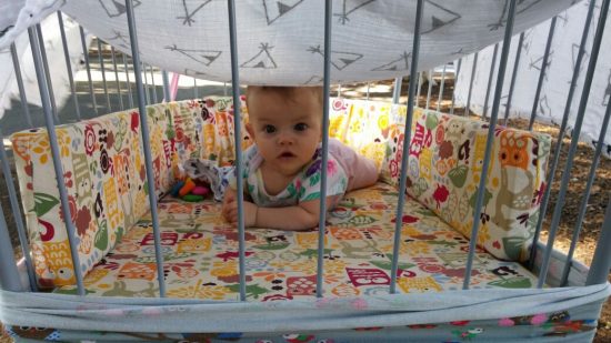 טיולון מגיל לידה מומלץ